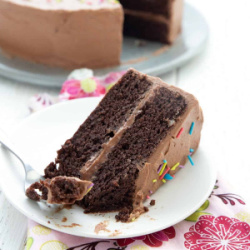 Chocolate Mayonaise Cake
